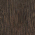 Raquel Welch Alpha Wave 16" Top Piece Hair Topper Hairpiece