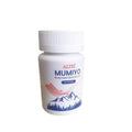 Regen Farma Altei Mumiyo & Horse Chestnut Supplement 60 Capsules