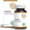 Anti Ginger Extract Dietary Supplement 60 Capsules