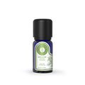 Arotolia Basil Essential Oil for Aromatherapy 10 ml