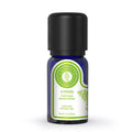 Arotolia Cypress Essential Oil for Aromatherapy & Skin 10 ml