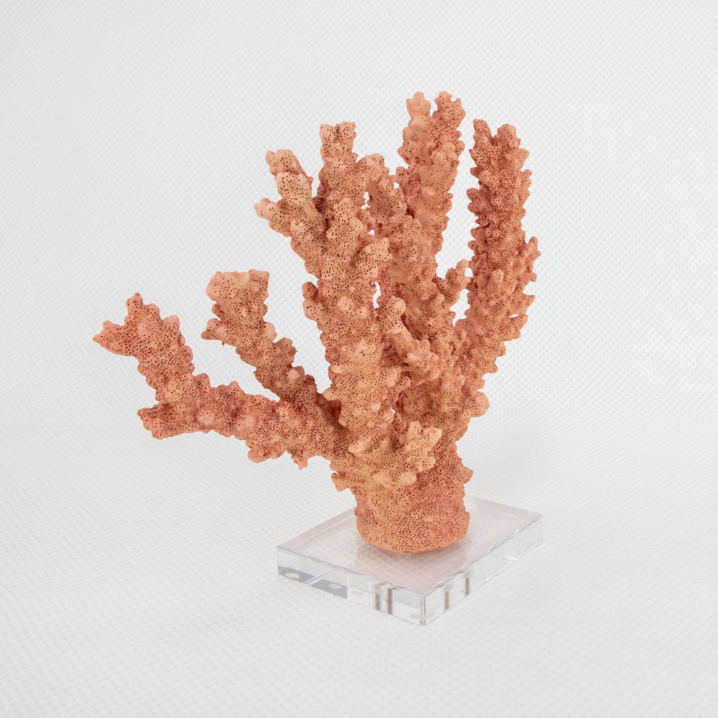 Lillian Home - Coral Burst