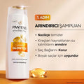 Pantene Pro-V Glowtox Clarifying Shampoo for Shine 400 ml