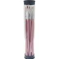 Borthe Gel Nail Brush Set with Cylinder Case 453