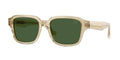 Burberry 0BE4484 Classic Square Men's Sunglasses 53mm