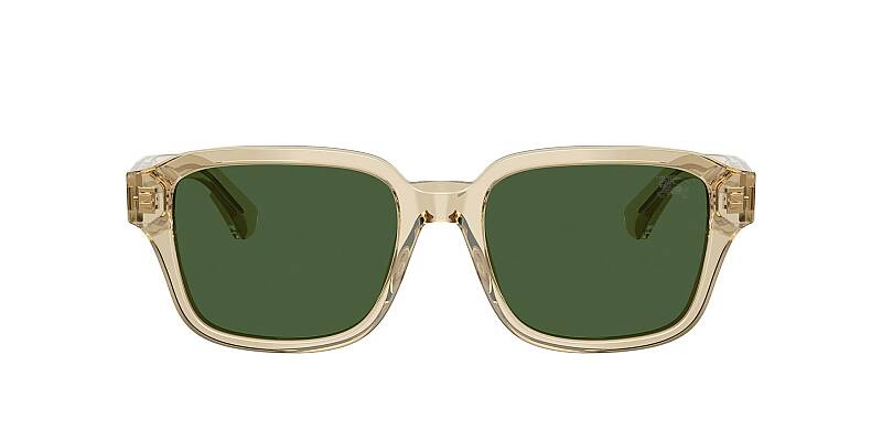 Burberry 0BE4484 Classic Square Men's Sunglasses 53mm