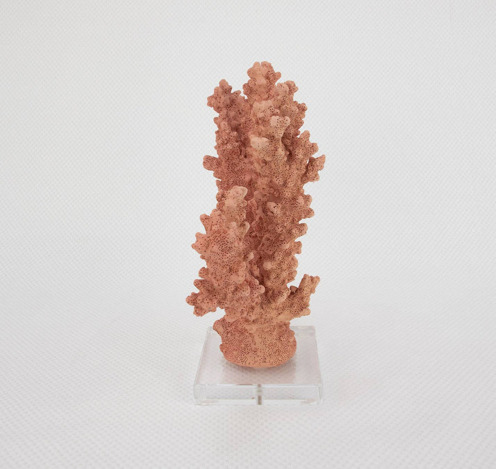 Lillian Home - Coral Burst