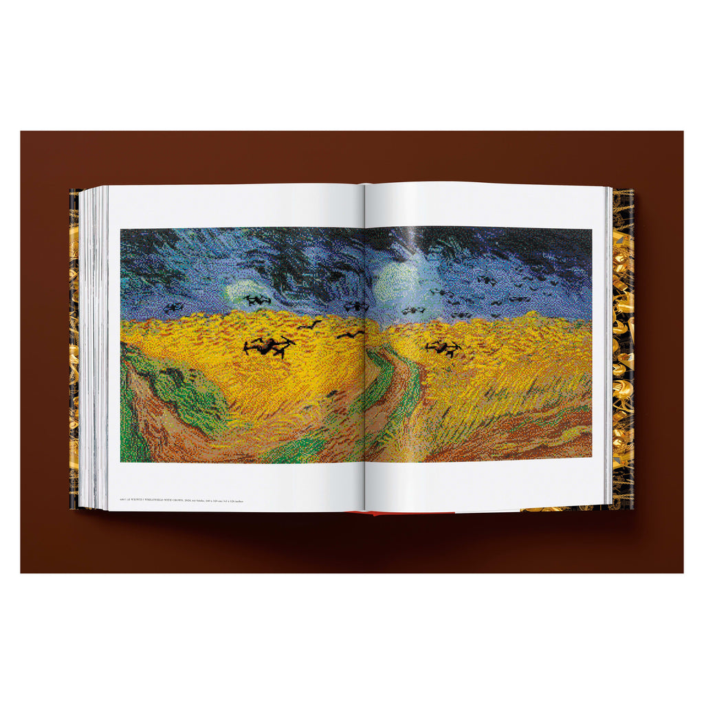 Ai Weiwei. Updated Edition (German, French, English)