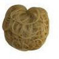 COVERX TP-210 Curly 5-6" 22g
