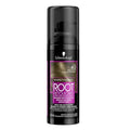 Schwarzkopf Hair Root Retoucher Spray - Instant Gray Hair Concealer, 3.38 fl oz