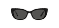 Dolce & Gabbana 4427 3372/87 Black Acetate Sunglasses