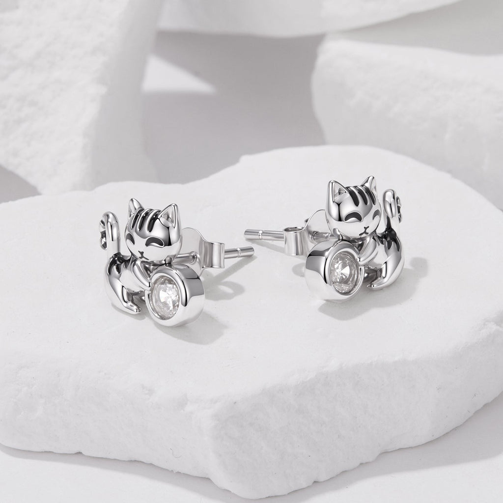 925 Sterling Silver Brass White Gold Plated Earrings with CZ for Women