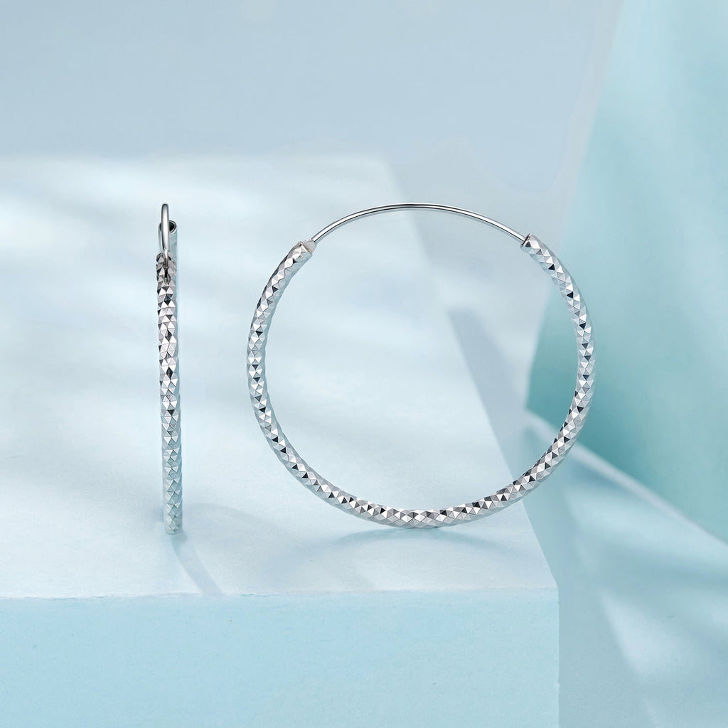 925 Sterling Silver Plated White Gold Earrings for Women