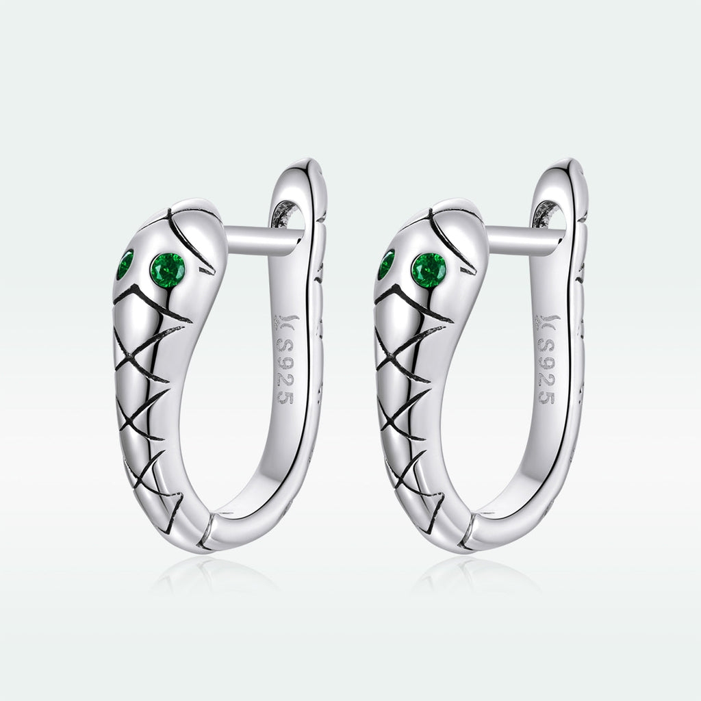 925 Sterling Silver Plated Platinum CZ Earrings for Women