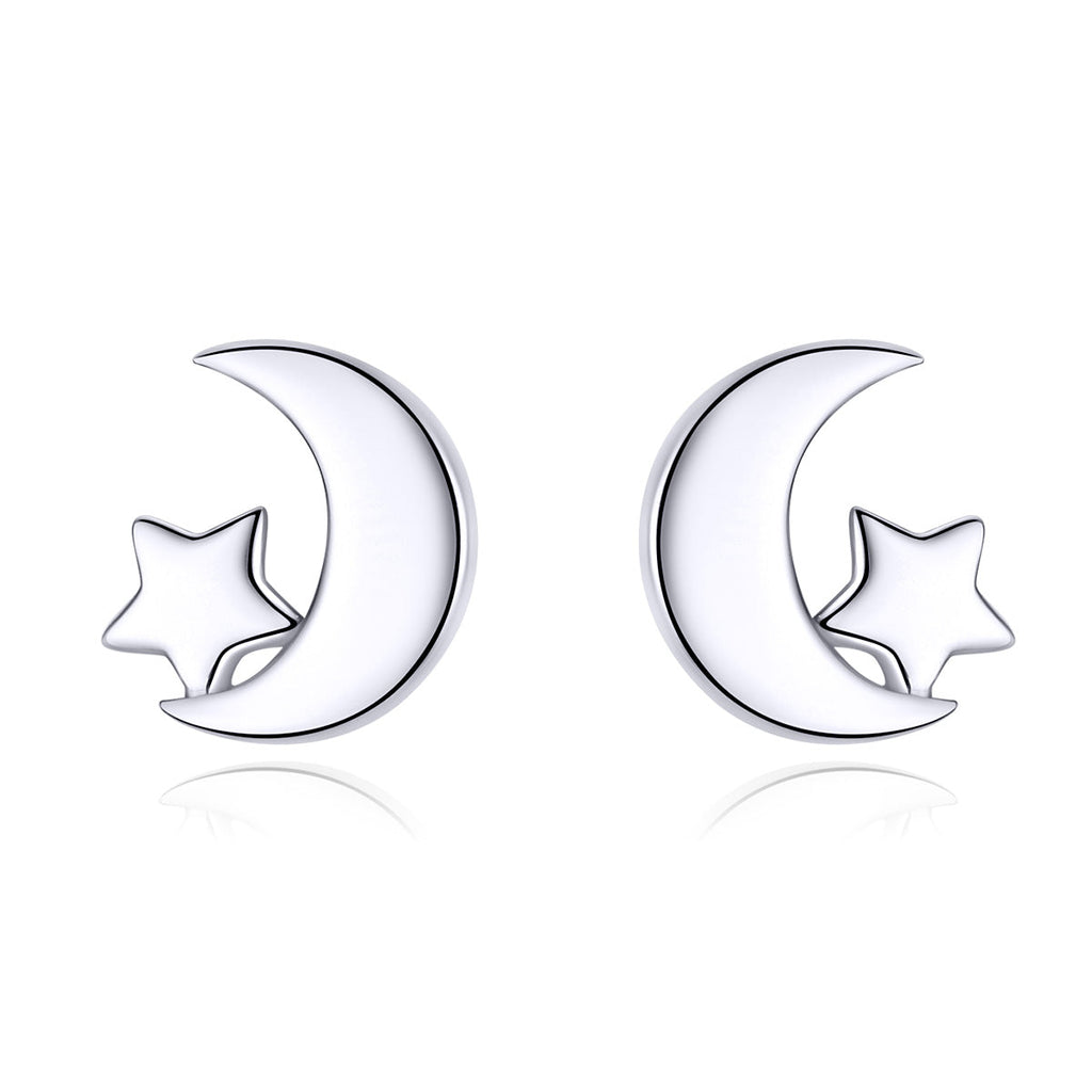 S925 Sterling Silver Earrings for Women