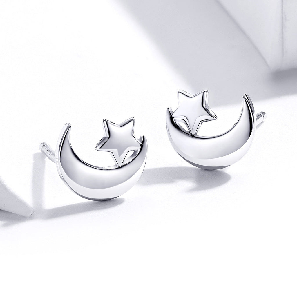 S925 Sterling Silver Earrings for Women