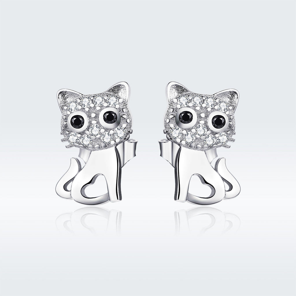 S925 Sterling Silver Earrings for Women