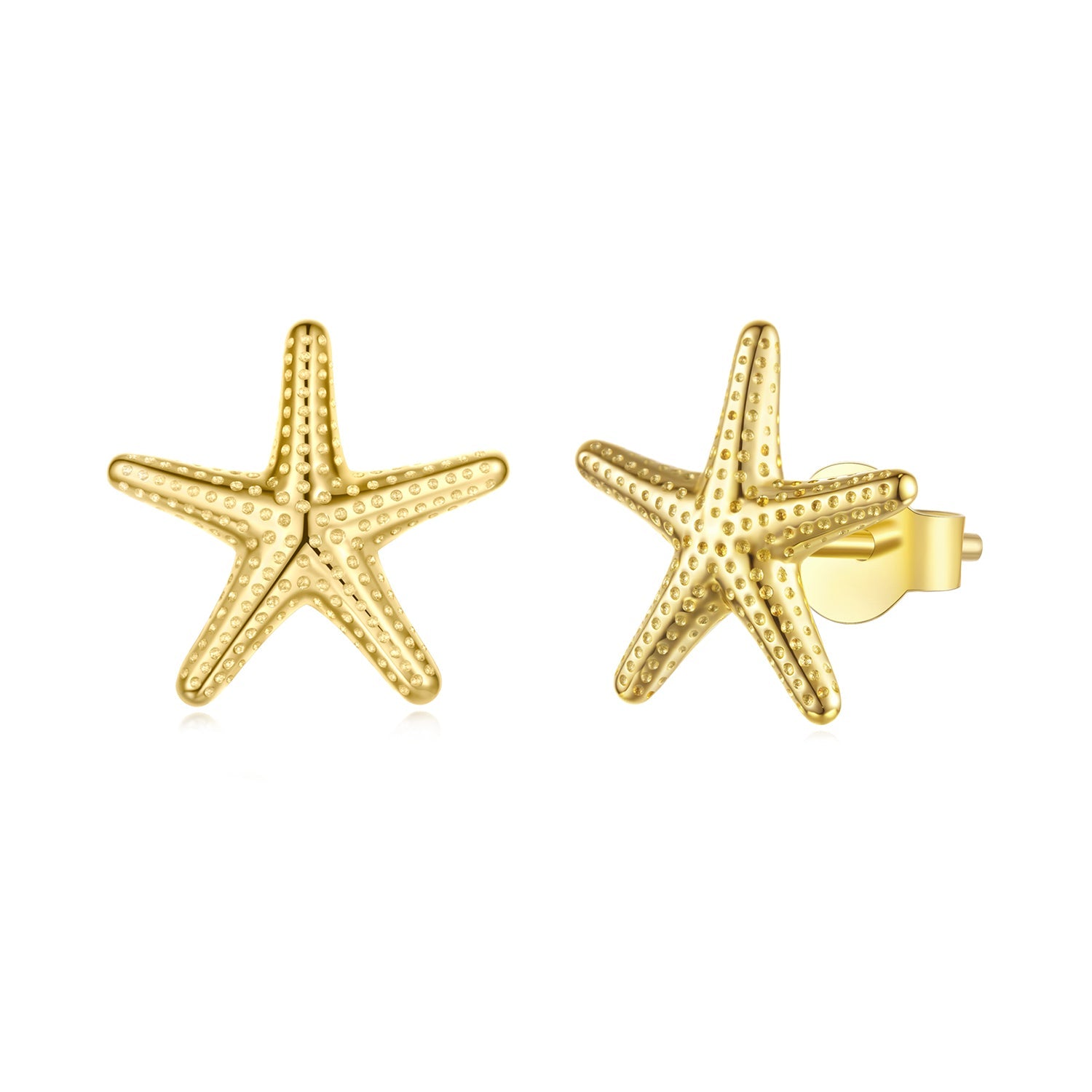 925 Sterling Silver Earrings for Women