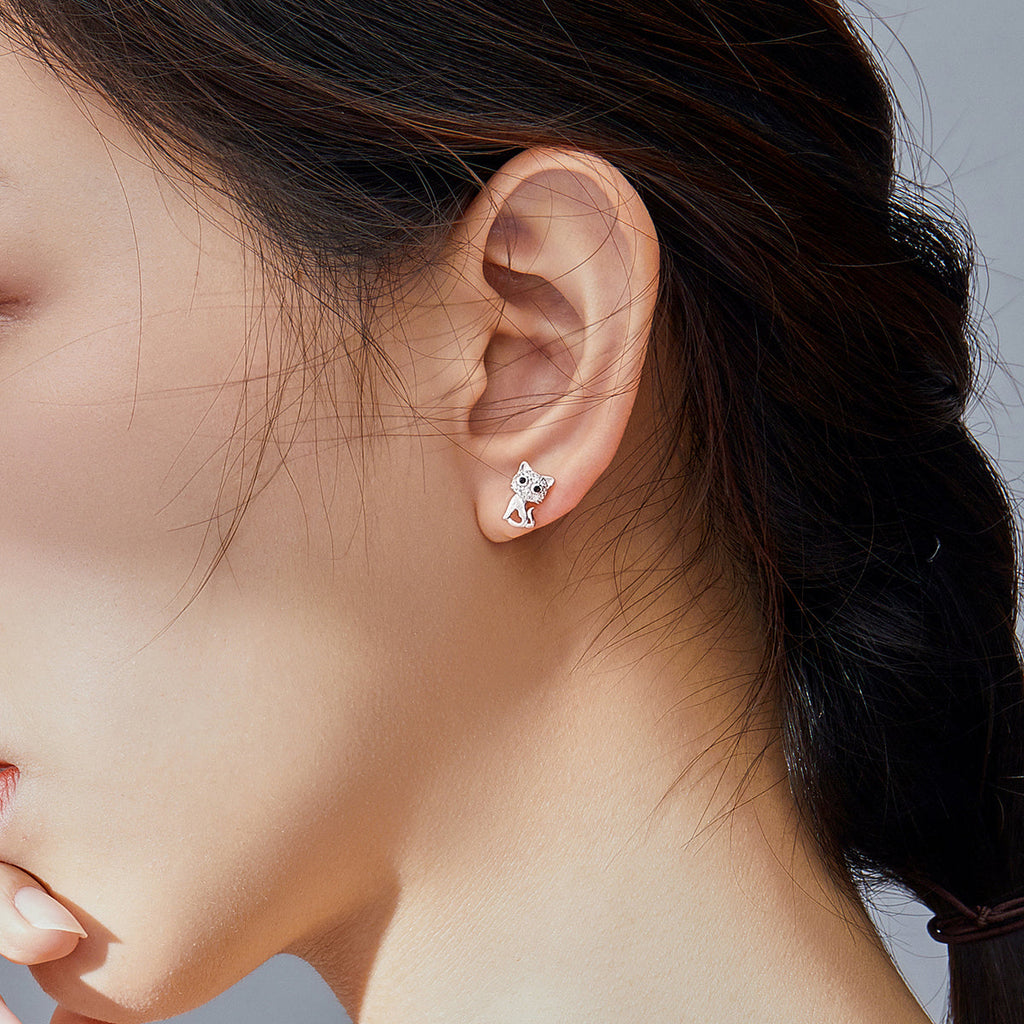 S925 Sterling Silver Earrings for Women