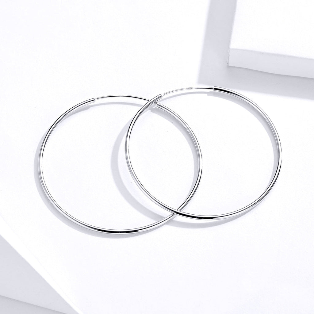S925 Sterling Silver Earrings for Women