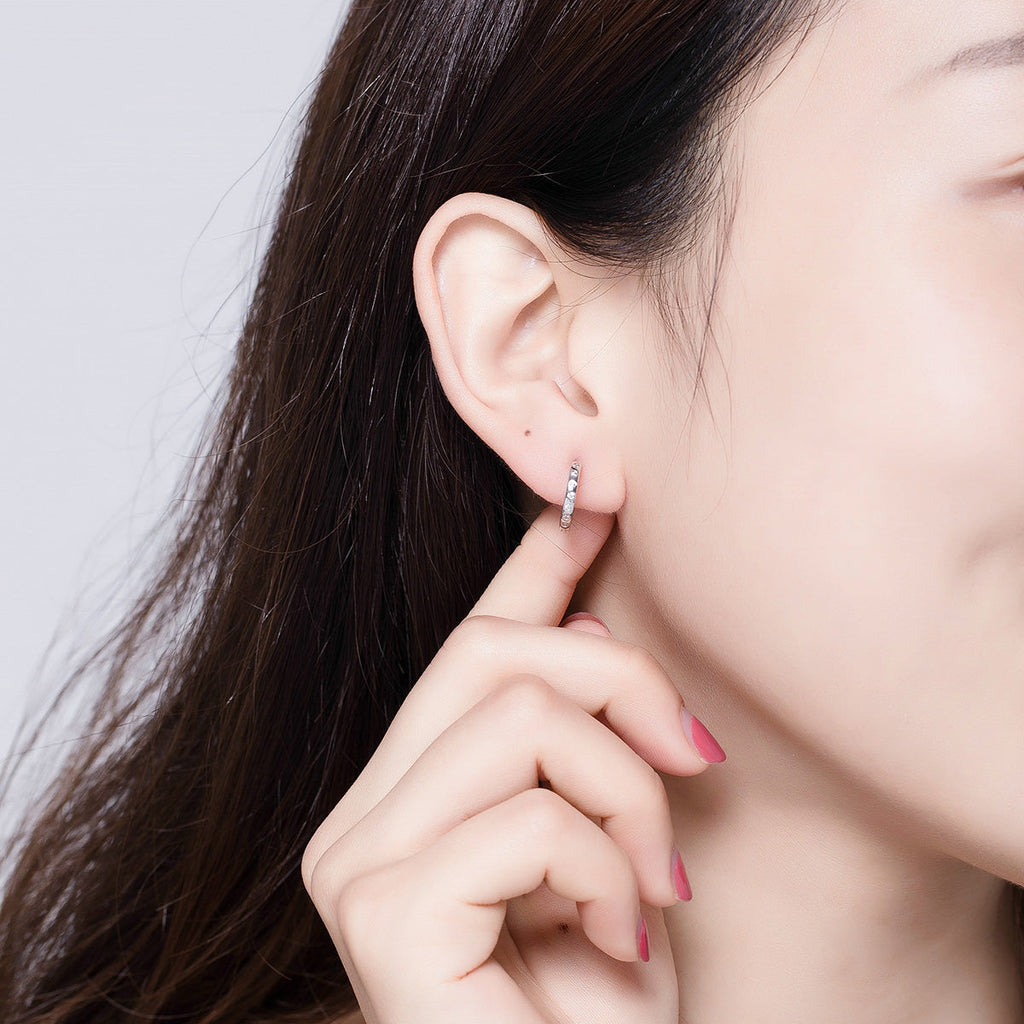 925 Sterling Silver Earrings with Pavé Setting CZ for Women