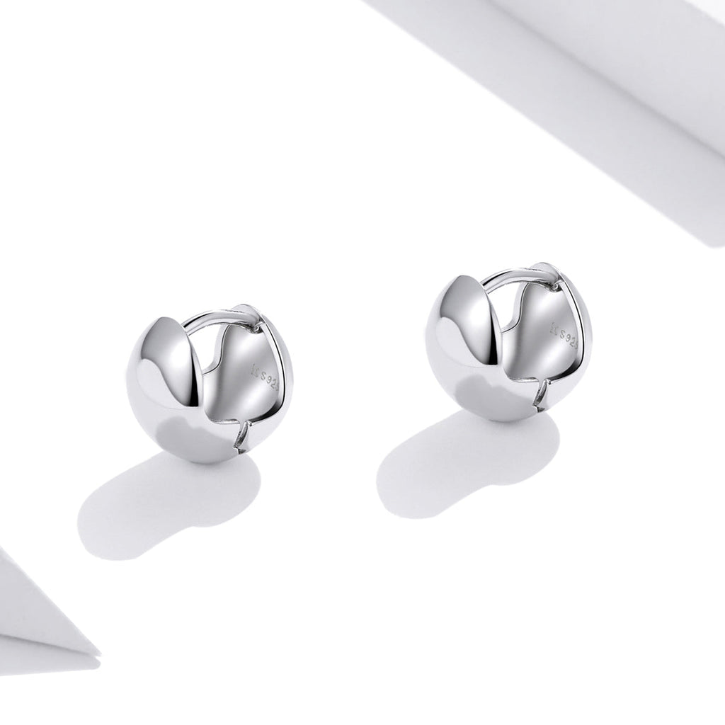 S925 Sterling Silver Platinum Plated Earrings for Women