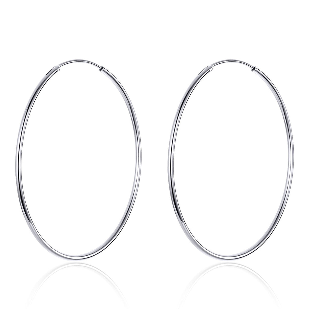 S925 Sterling Silver Earrings for Women