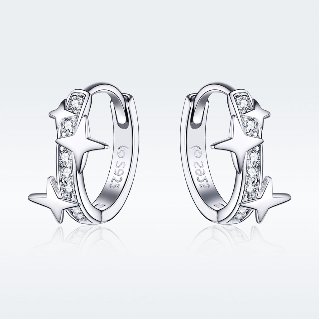 S925 Sterling SilverCZ Earrings for Women