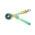 Max & Molly Ducklings Dog Leash Stylish Pattern Small