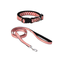 Eastland Fish Pattern Dog Collar and Leash Set 20mm 30-50cm