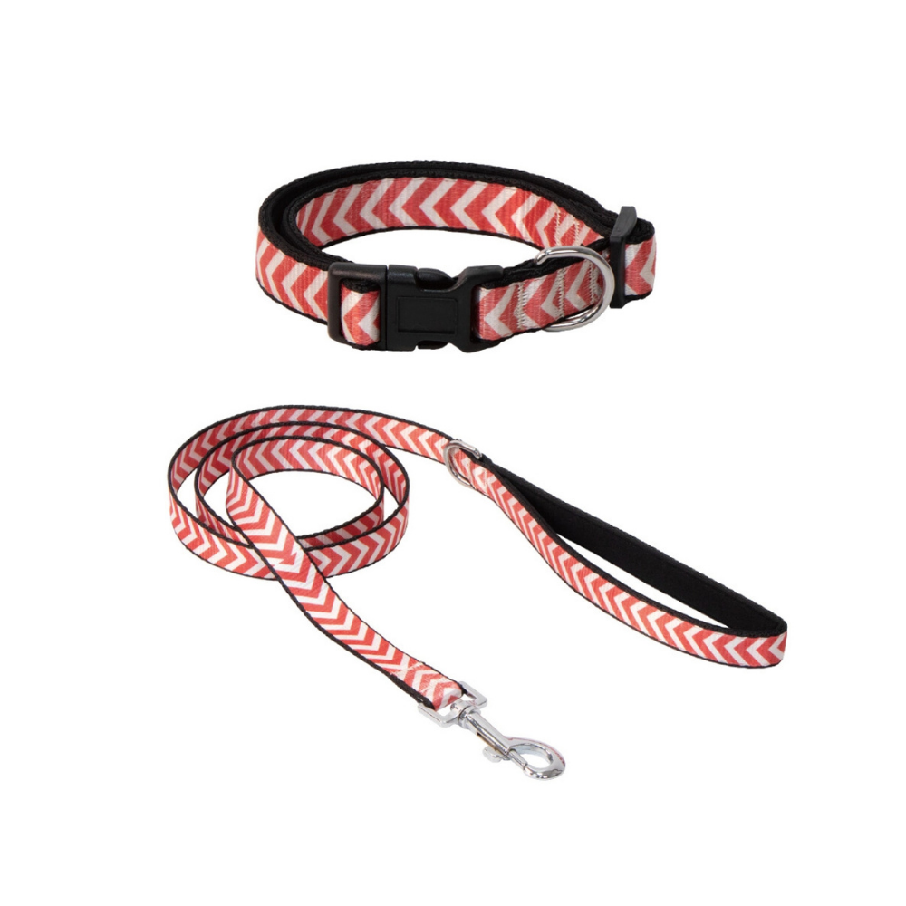 Eastland Fish Pattern Dog Collar and Leash Set 20mm 30-50cm