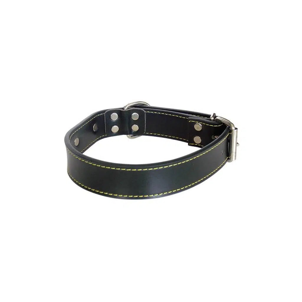 Eastland Leather Dog Collar with Nameplate 50cm