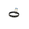 Eastland Metal Riveted Leather Dog Collar 50cm