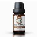 Edys Organics Cinnamon Essential Oil Warm Spicy Aroma 10 ml