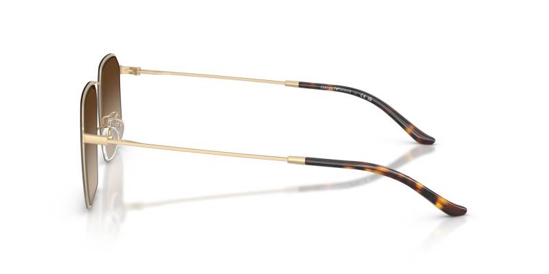 Emporio Armani 0EA2165D Brown Lens Metal Sunglasses 58mm
