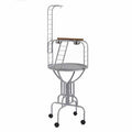 Eurogold Black Wrought Iron Parrot Stand with Perches 120cm