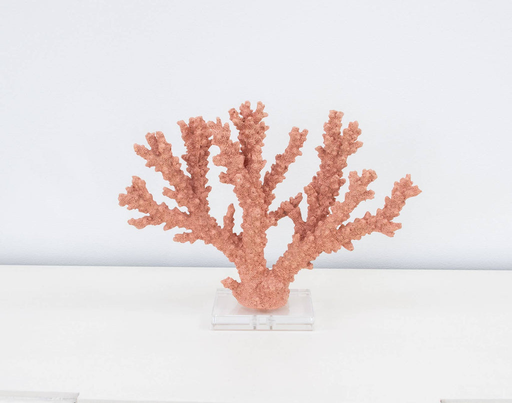 Lillian Home - Coral Burst