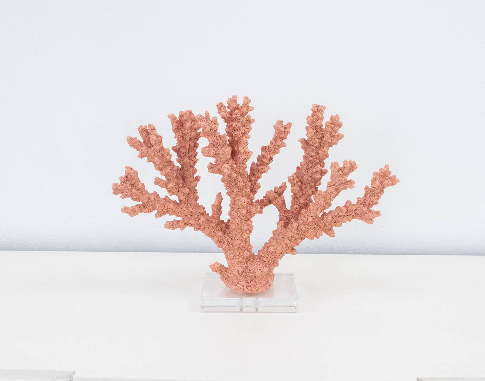 Lillian Home - Coral Burst