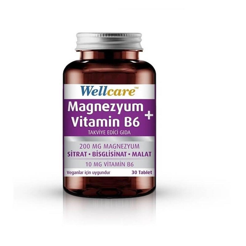Wellcare Magnesium and Vitamin B6 Supplement - 30 Tablets | Supports Nervous System Health