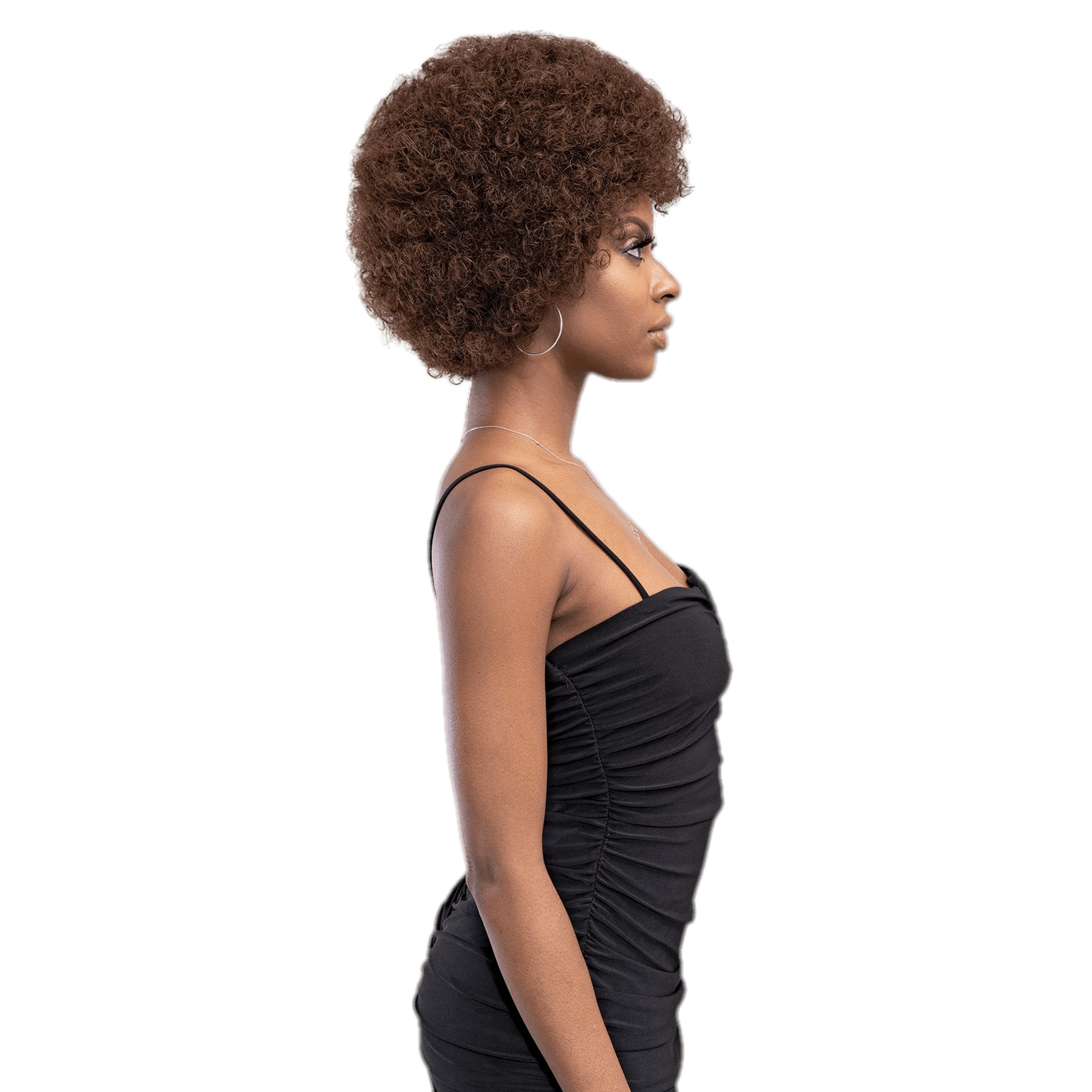 Femi Collection Afro Wig, New With Tags