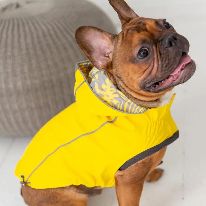 GF Pet Reversible Waterproof Dog Raincoat for All Weather