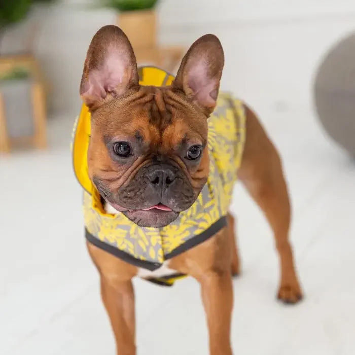 GF Pet Reversible Waterproof Dog Raincoat for All Weather
