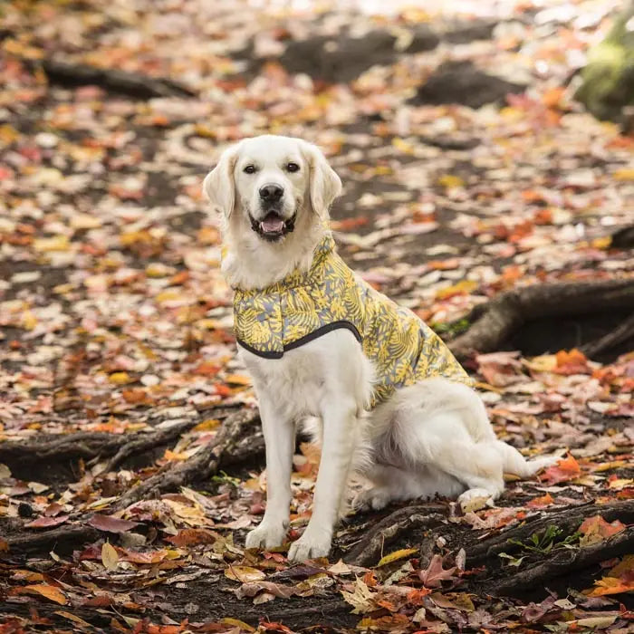 GF Pet Reversible Waterproof Dog Raincoat for All Weather