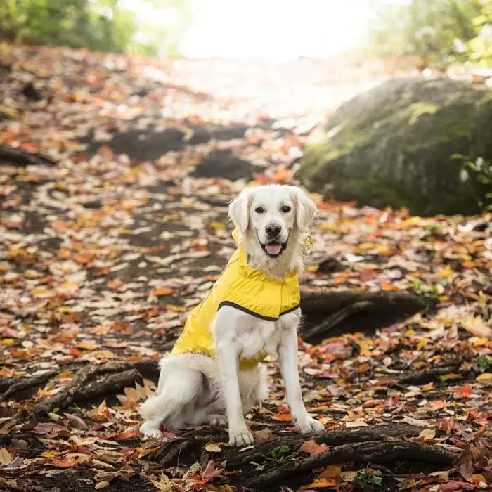 GF Pet Reversible Waterproof Dog Raincoat for All Weather