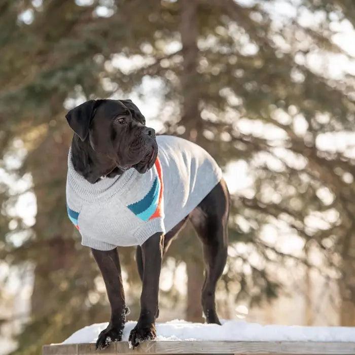 GF Pet Alpine Dog Sweater Warm Knit Pet Apparel