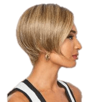 Raquel Welch Heard It All Wig - Choose Size