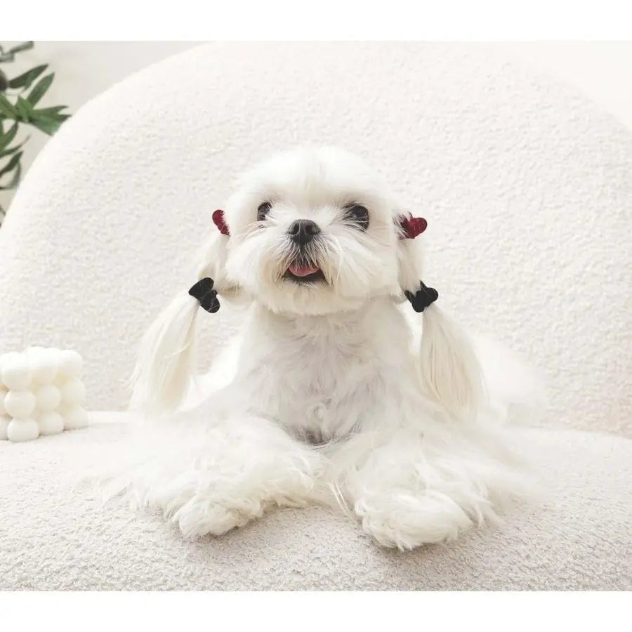 M-Pets Glam Heart Pet Hair Clip for Cats and Dogs Red