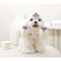 M-Pets Glam Crown and Bow Accessory Set for Cats and Dogs Purple
