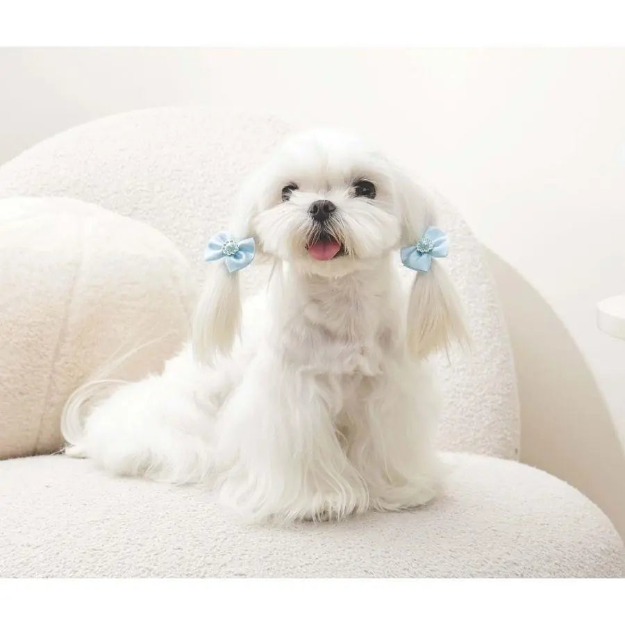 M-Pets Glam Blue Bow Accessory for Cats and Dogs 1 pc