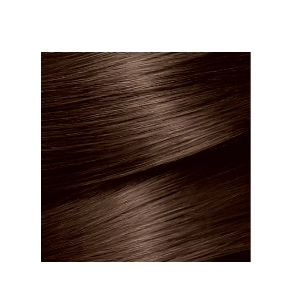 Garnier Color Naturals 4 Dark Brown Nourishing Hair Color